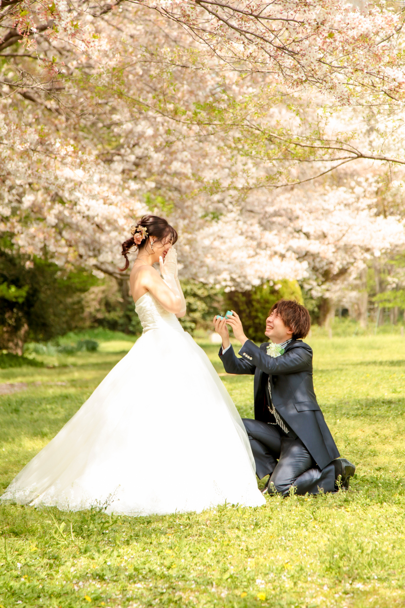 【洋装 ダイヤ】高級レザーボックス付30ページのアルバムとロケーション撮影が含まれたプラン