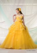 F024 　イエローホースヘアーフラワー