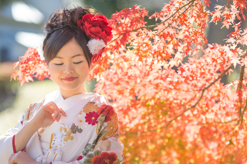 紅葉×和装