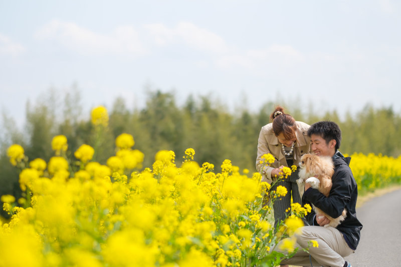 抱っこでお散歩♪