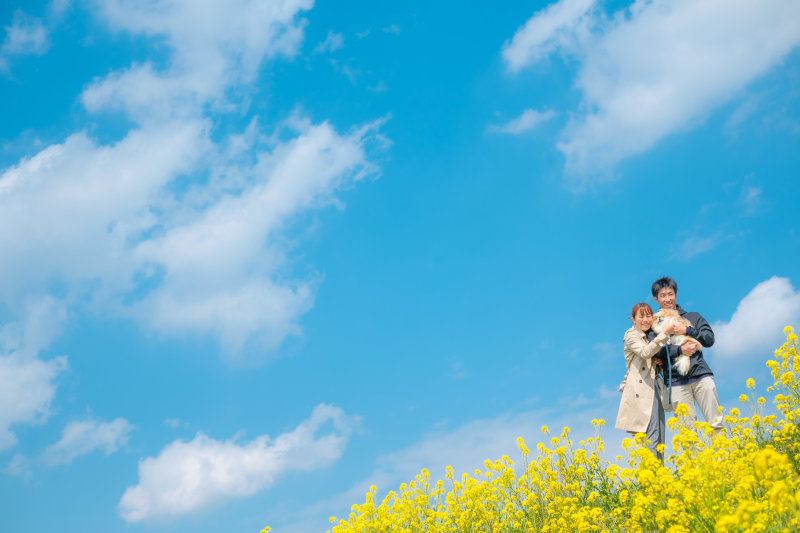 菜の花エンゲージ