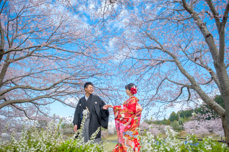 快晴の空と桜のコラボレーション