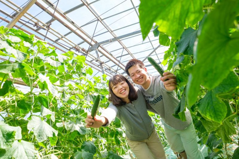 きゅうり農家の2人♡