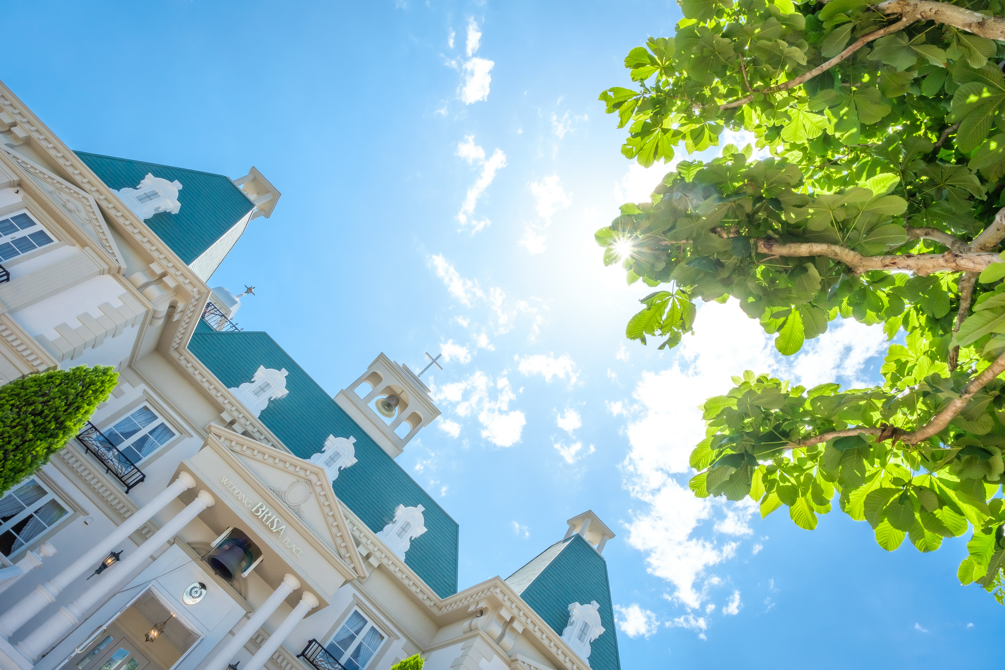 step1 事前来店・お問合せ