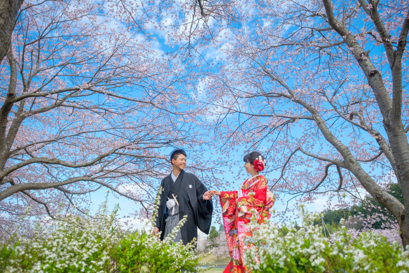 アンジェブリッサ_神社・寺院で撮影できる