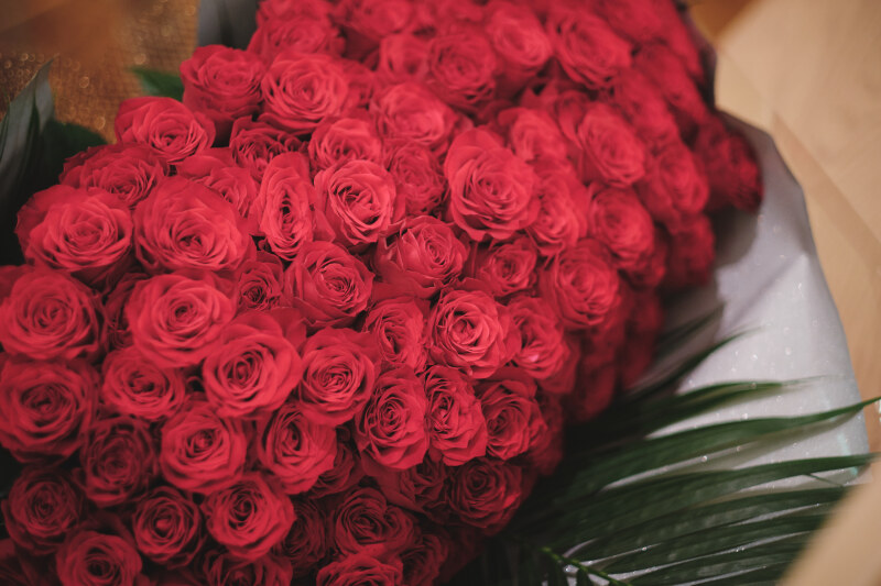 The 60th Anniversary photo 還暦60歳フォト ~ドレス1着~