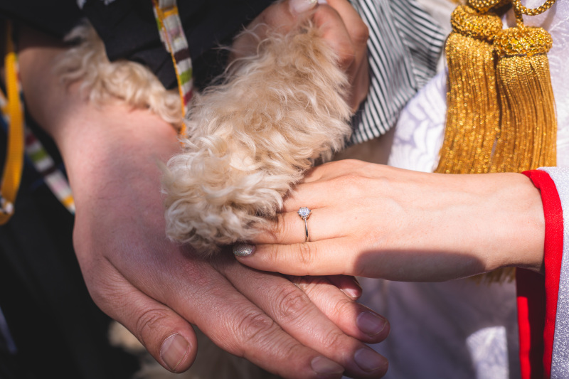 最後はみんなで手元のショット＾＾