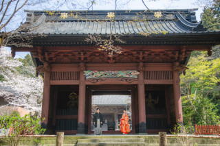 鎌倉周遊プランが人 気