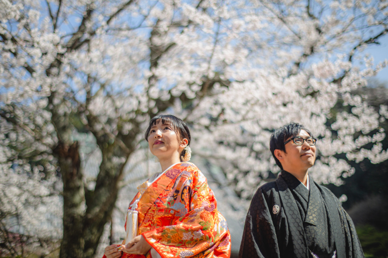 4月中旬の陽気に恵まれた撮影日