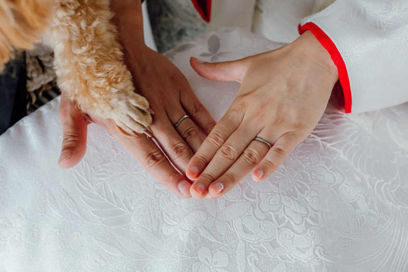 清らかな白無垢の上で