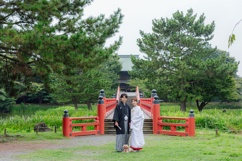 目にも鮮やかな配色マジック