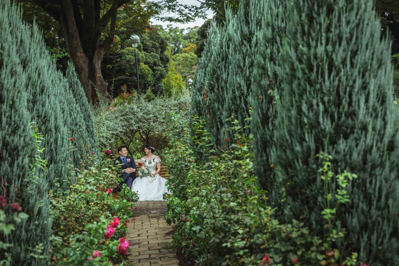 まるでシルバ○アファミリーのような世界観