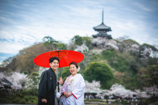 三溪園　三渓園　桜　さくら　番傘　曇り　雨予報