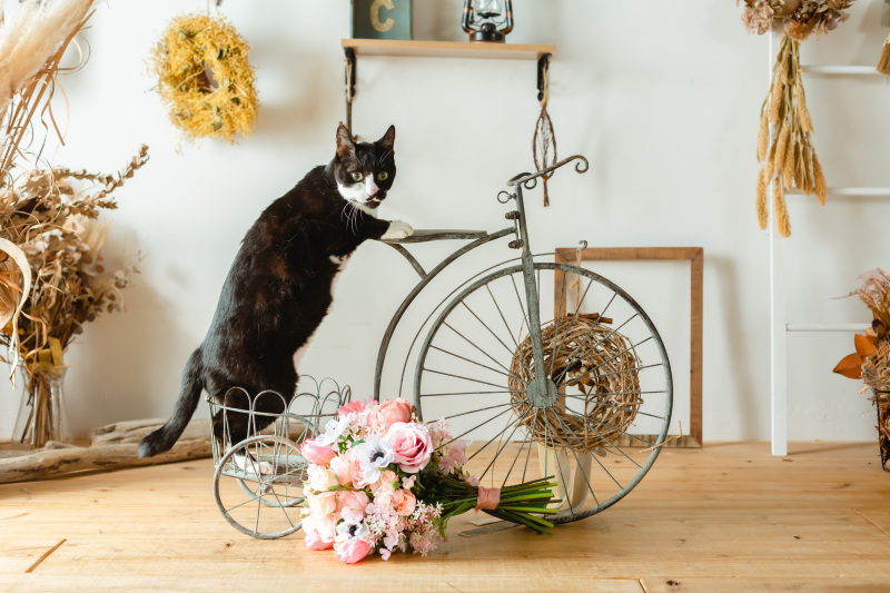 ラストは大道芸で締め。笑