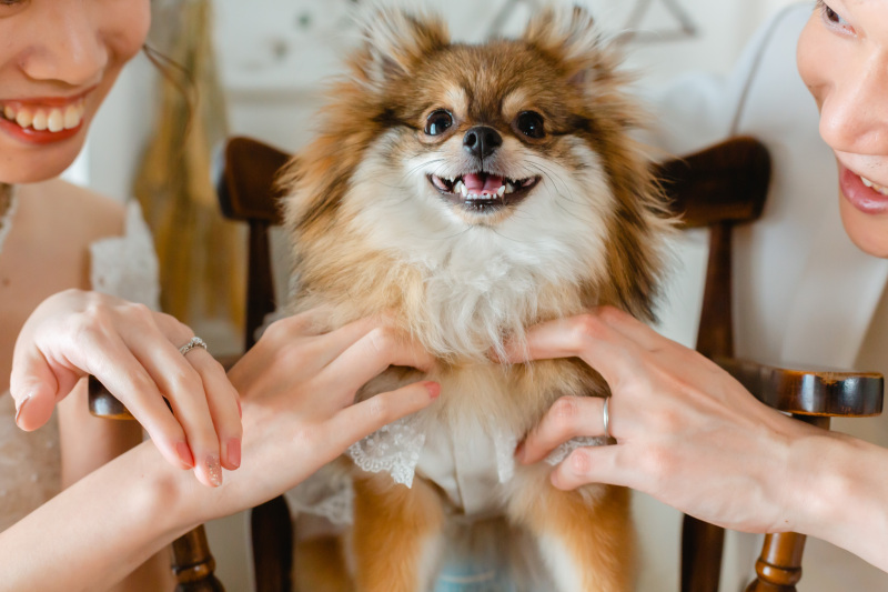 もふもふなお腹