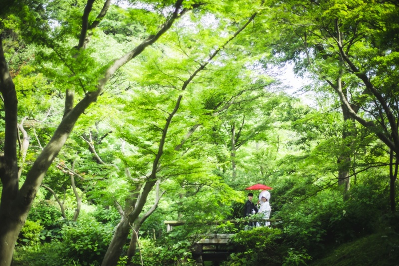 赤・白・黒のコントラスト