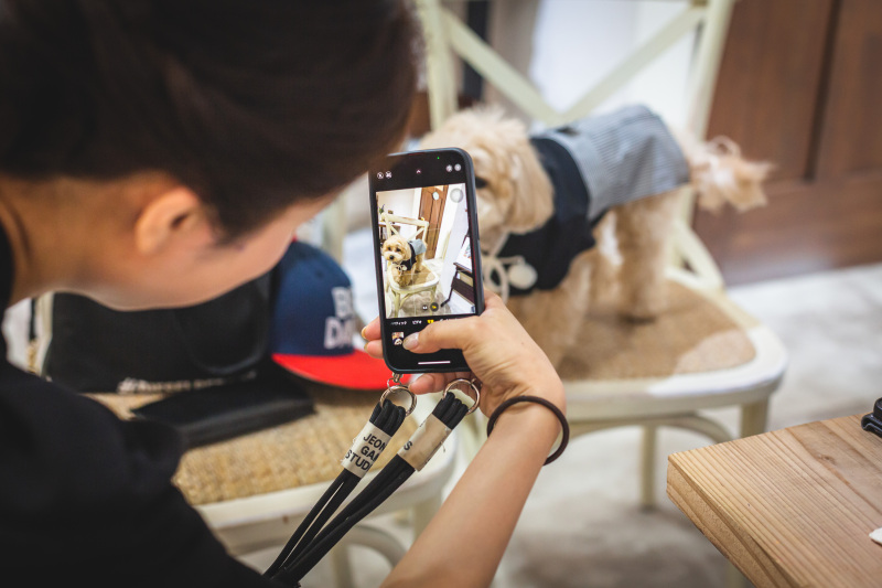 わんちゃんもお支度開始♪