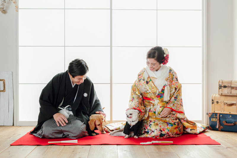 愛犬たちに首ったけ