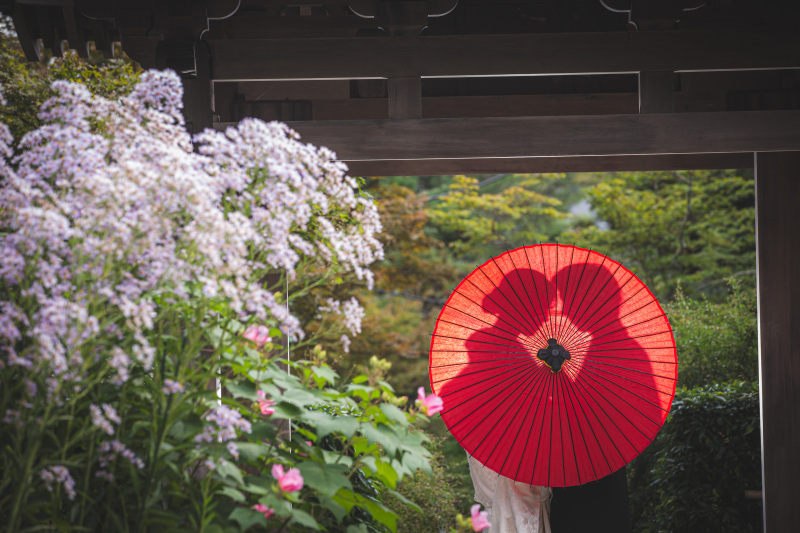 和傘越しのシルエット