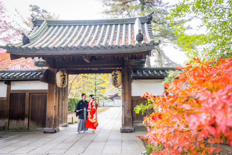 鮮やかな紅葉