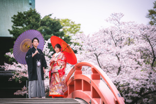 満開の桜で和装婚とチャペルで喜びを表すブライダルフォトフルコース