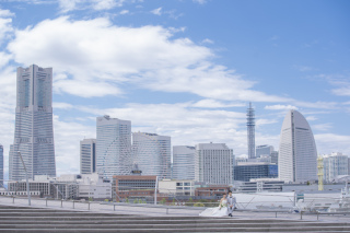 順延して念願の晴れの大さん橋！