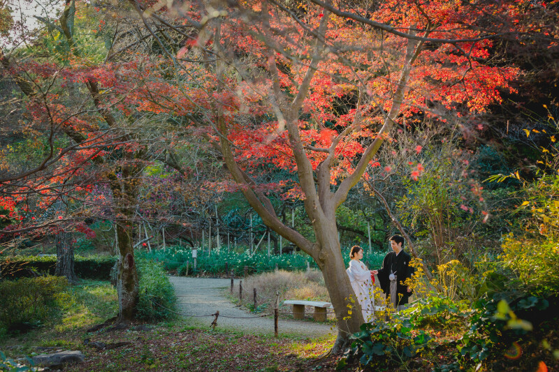 情緒豊かな季節に