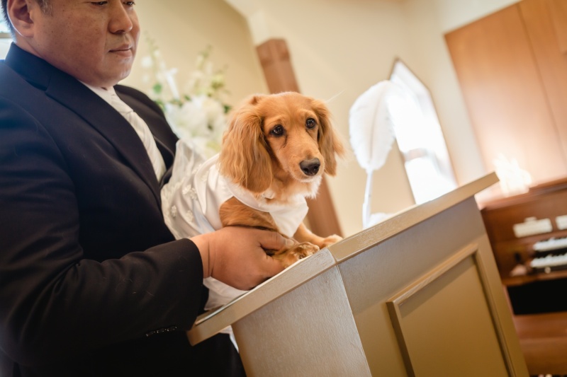証人(証犬)の署名