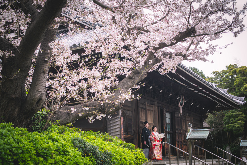 桜は外せない