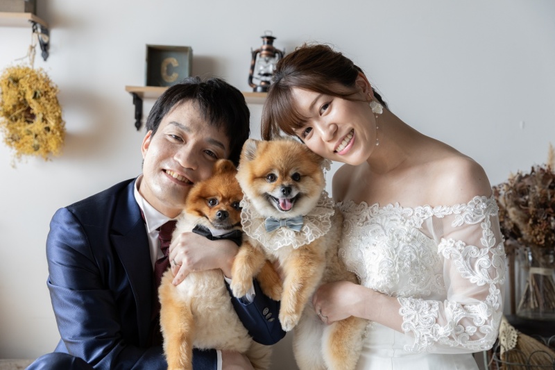 ポメラニアン姉弟と楽しむ、愛犬フォトウェディング