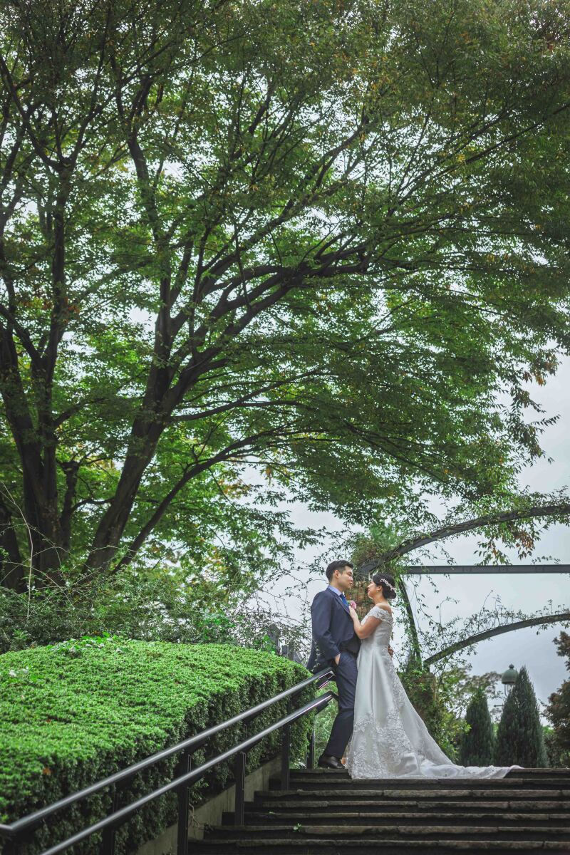 大きな何かの木の下で