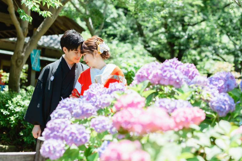 6月といえば紫陽花ショット