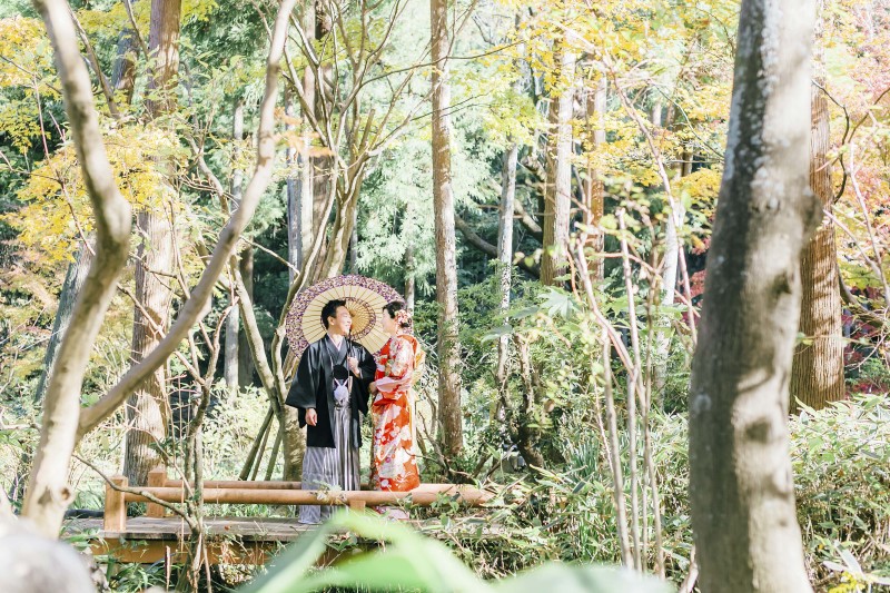 まるで森の中に来たみたい~