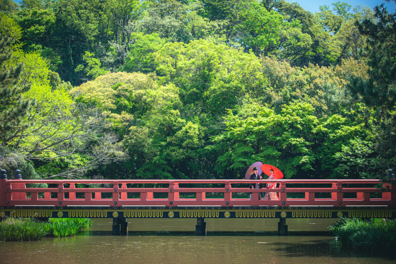背景の緑が美しいのは新緑の4-5月の特徴