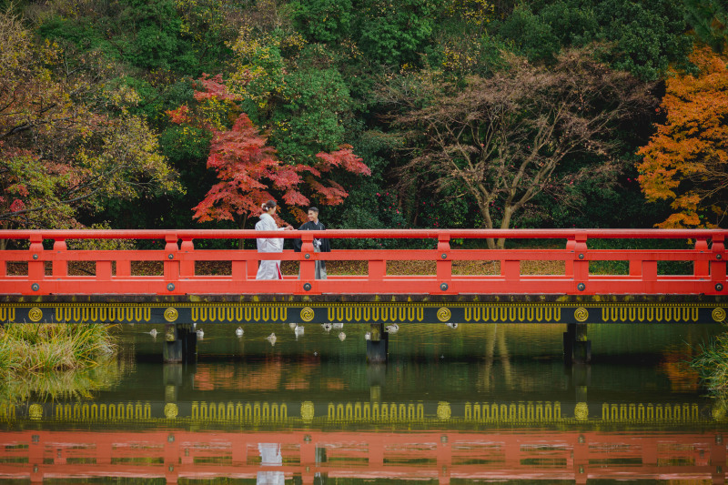 紅葉シーズンならのビジュアルを