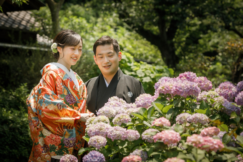 季節のお花、紫陽花ショット!