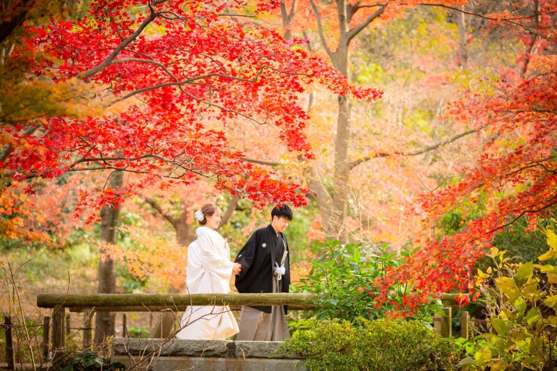 鮮やかな紅葉
