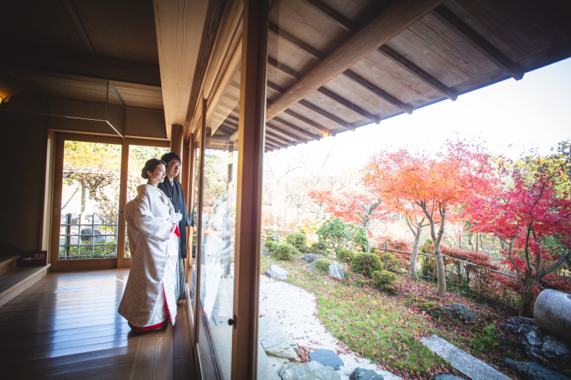 眺望グッドな日本庭園