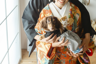ワンちゃん(男の子)用の和装衣装レンタル