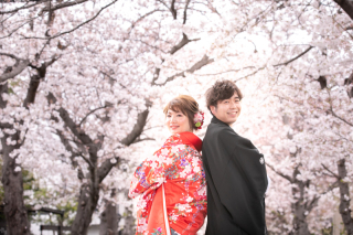 【Teslaで無料送迎サービス】桜ロケはハイテク車でGO