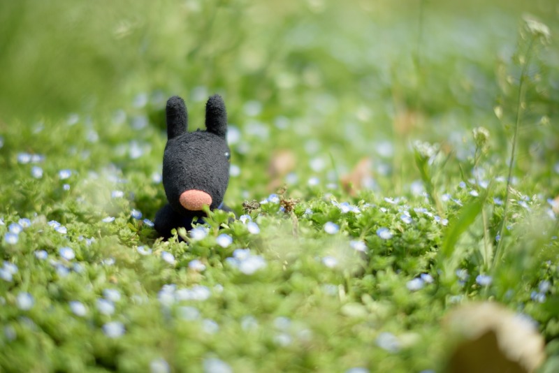 ひょっこりガスパール