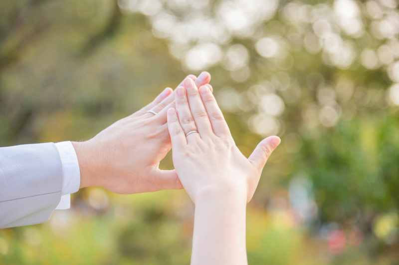 秋の光を活かして