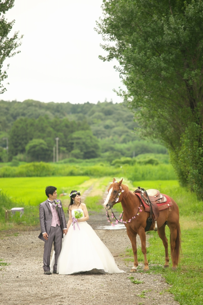 サプライズでなんとお馬さんが登場!!
