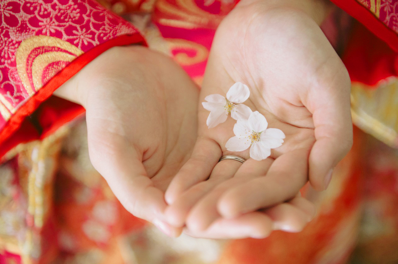 お手元の写真も