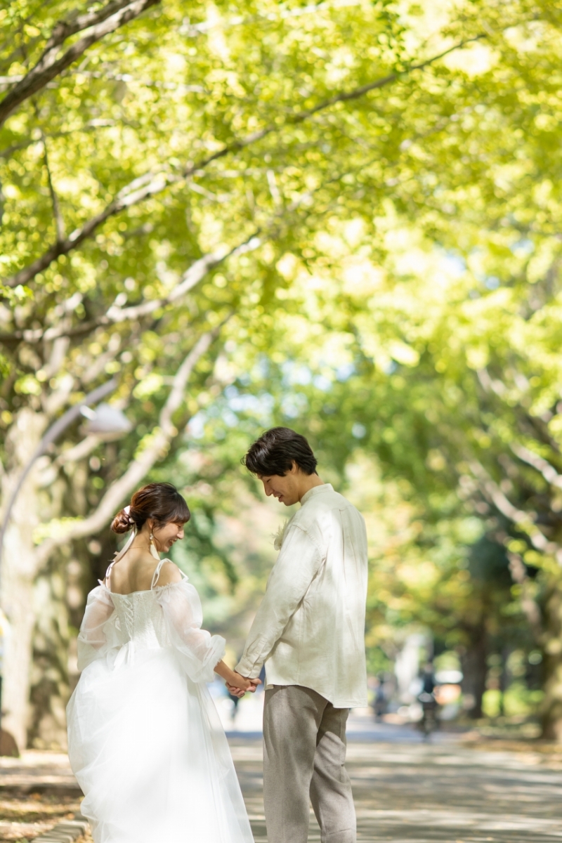 木漏れ日が美しい