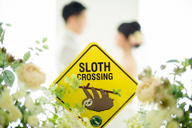 新婚旅行の思い出の小物と一緒に！