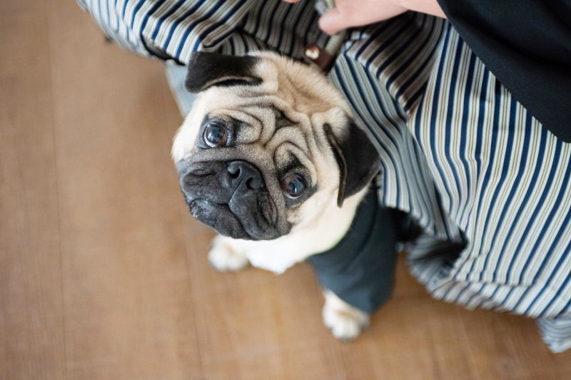 カメラ目線もばっちり！