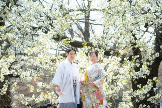 桜と和装ロケーション撮影