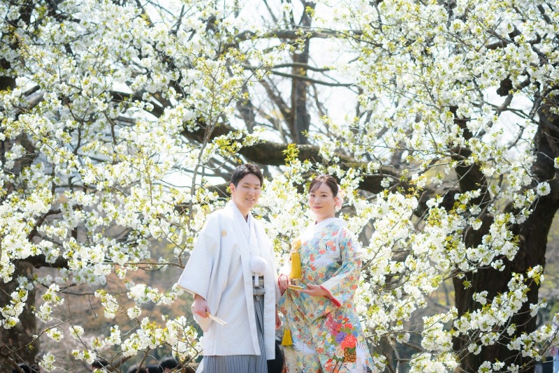 桜と和装ロケーション撮影