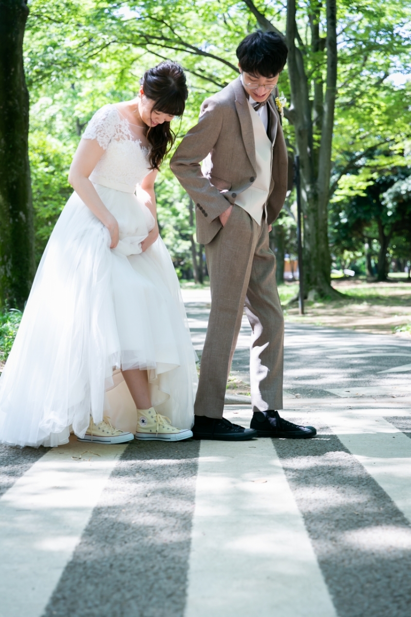 初夏の光がきれい